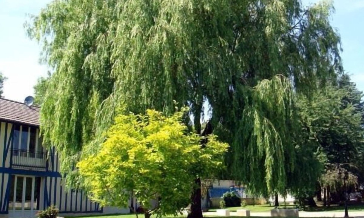 Thieblemont-Faremont Bed & Breakfast | Les Wyllows