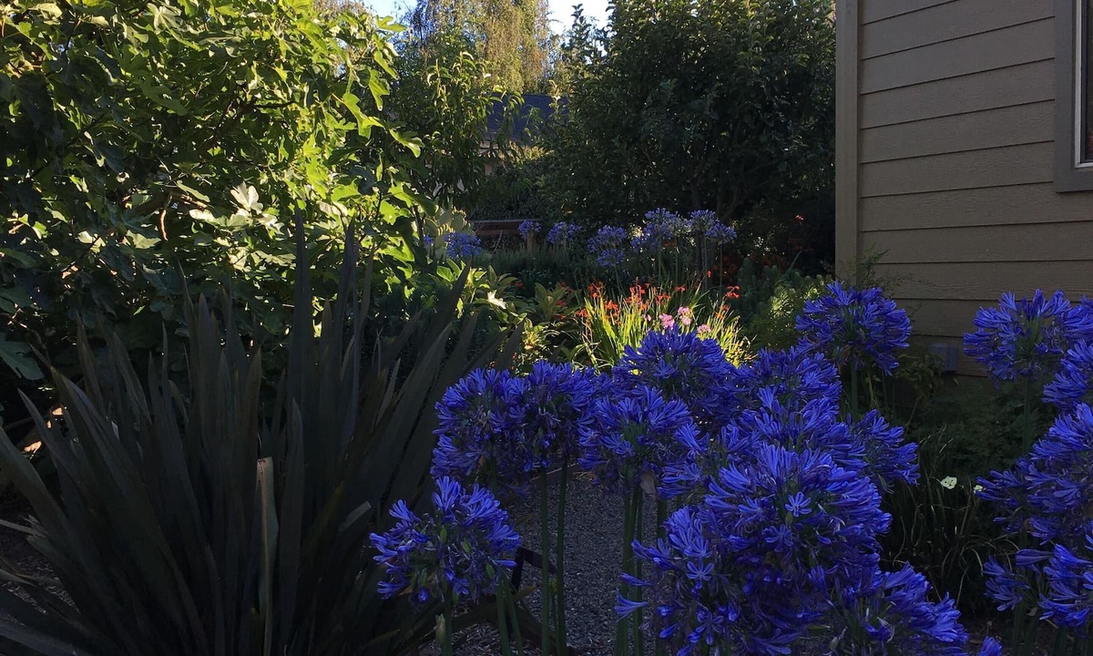 Freestone House | Let the sun shine in!