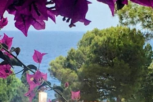 Salionc House | LETS HOLIDAYS House beach in Cala Salions