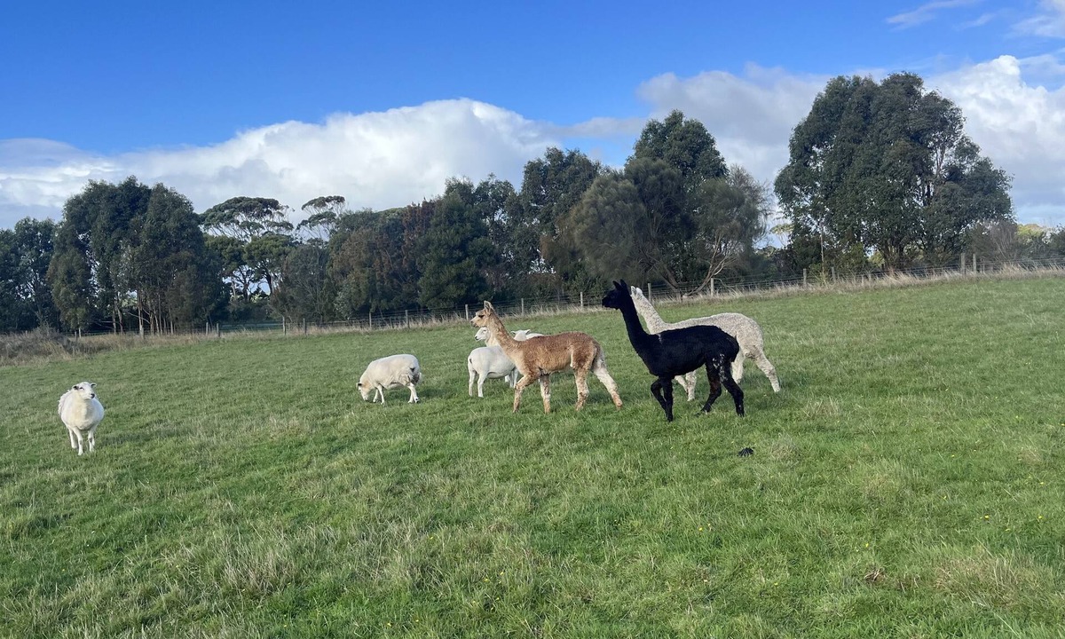Fish Creek Cabin | LG & B Farm View Cabin