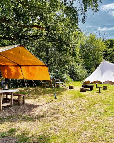 Cullompton Other | Lickham Bottom Camping