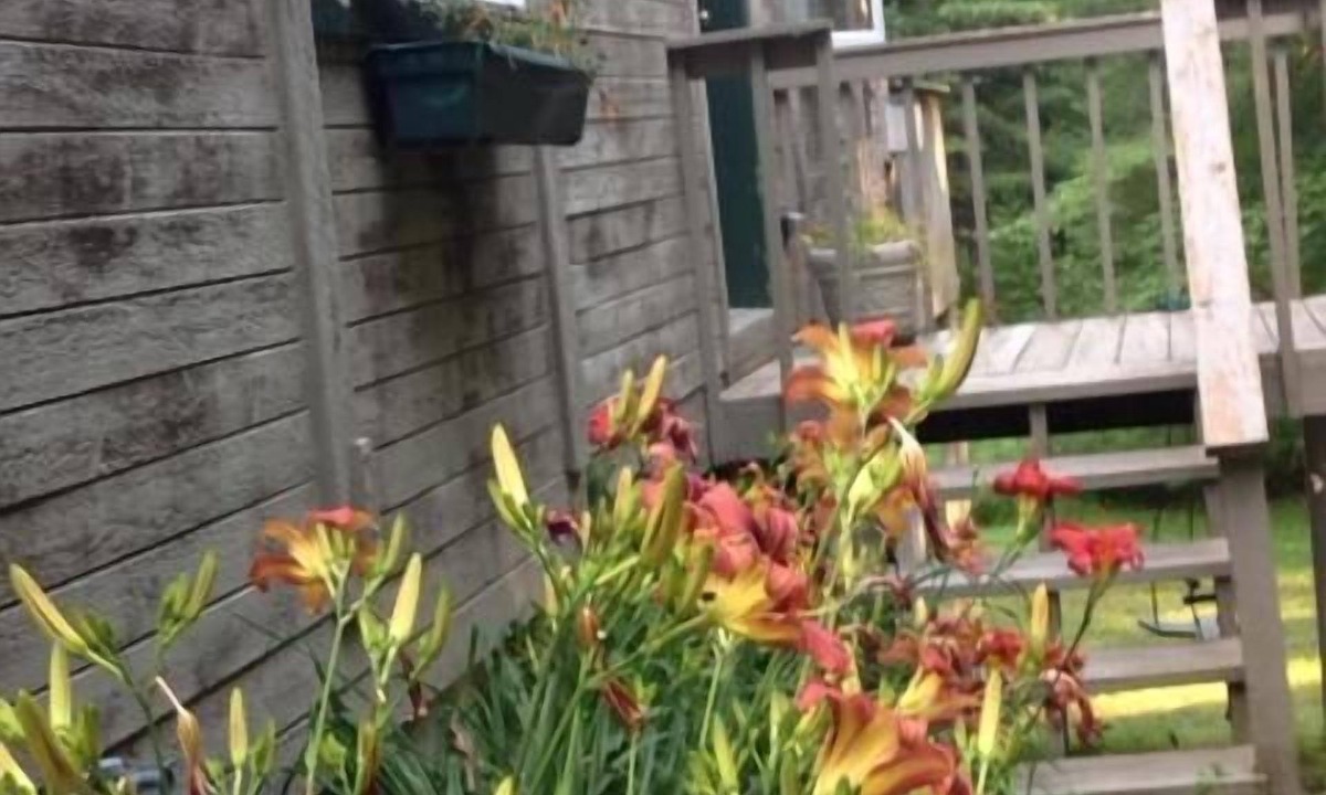 Monterey House | Light, Airy And Fabulous