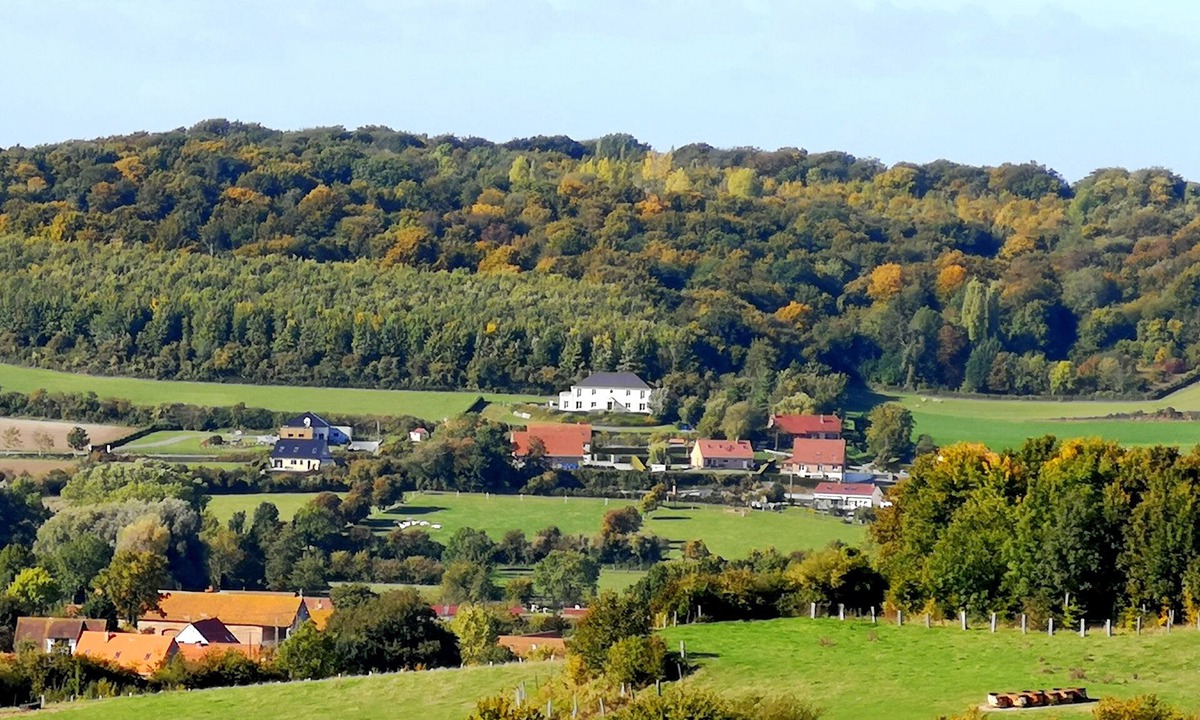 Tournehem-sur-la-Hem Apartment | Like a craving for air?