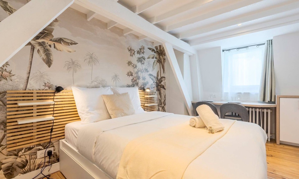Lille Centre Ville Apartment | Lille Beaux Arts equipped apartment