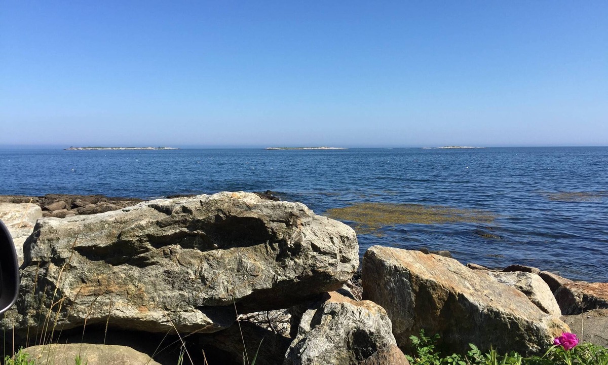 Martinsville House | LillyView-Magnificent Ocean views!