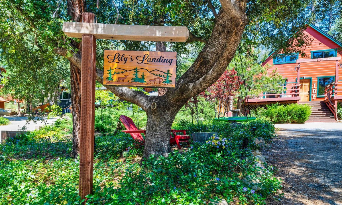 Fern Valley Cabin | Lily`s Mountain Landing