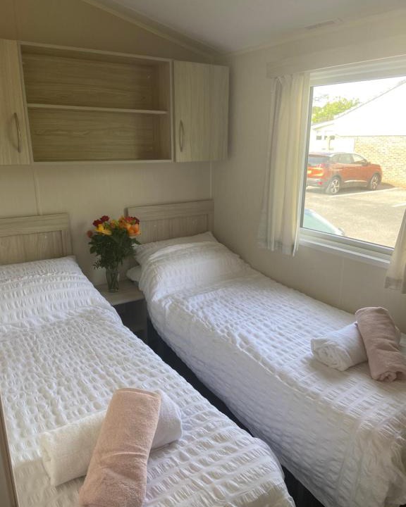 Newquay Other | Lily’s pad