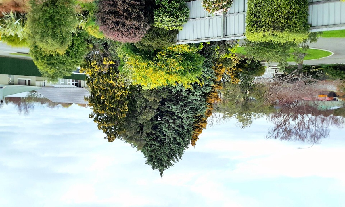 Rangiora Hotel | Lilybrook Rangiora Motel