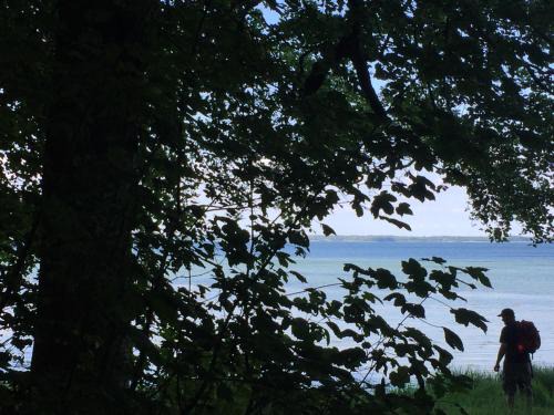 Hejls Apartment | LindegaardApartment - woods and sea