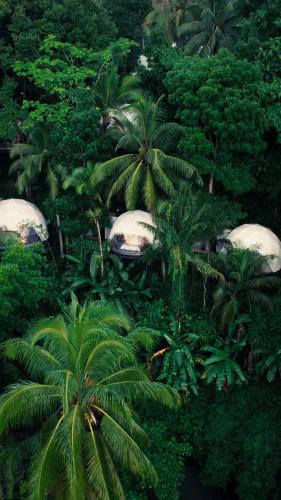 Kajarharjo Resort | Lintang Luku Tent Resort Ijen, Banyuwangi