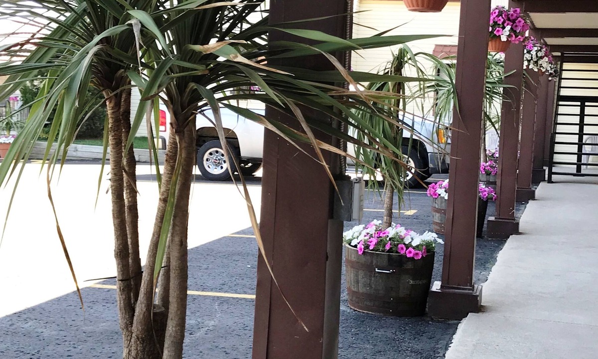 Listowel Hotel | Listowel Country Inn