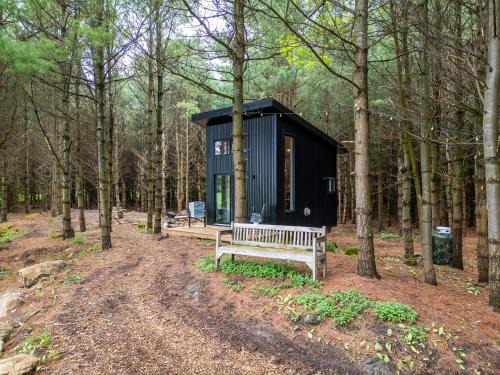 Desboro House | Little Cabin in the Pines