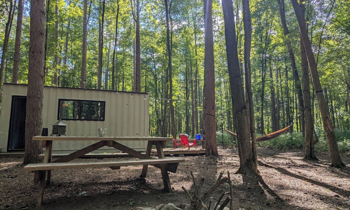 Delhi Cabin | Little Can in the Pines - Bunkie No. 2