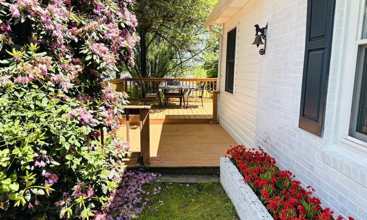 Sparta House | Little Elves Overlook