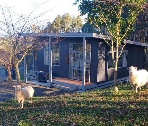 Feilding Ski Chalet | Little Forest Cabins No 3