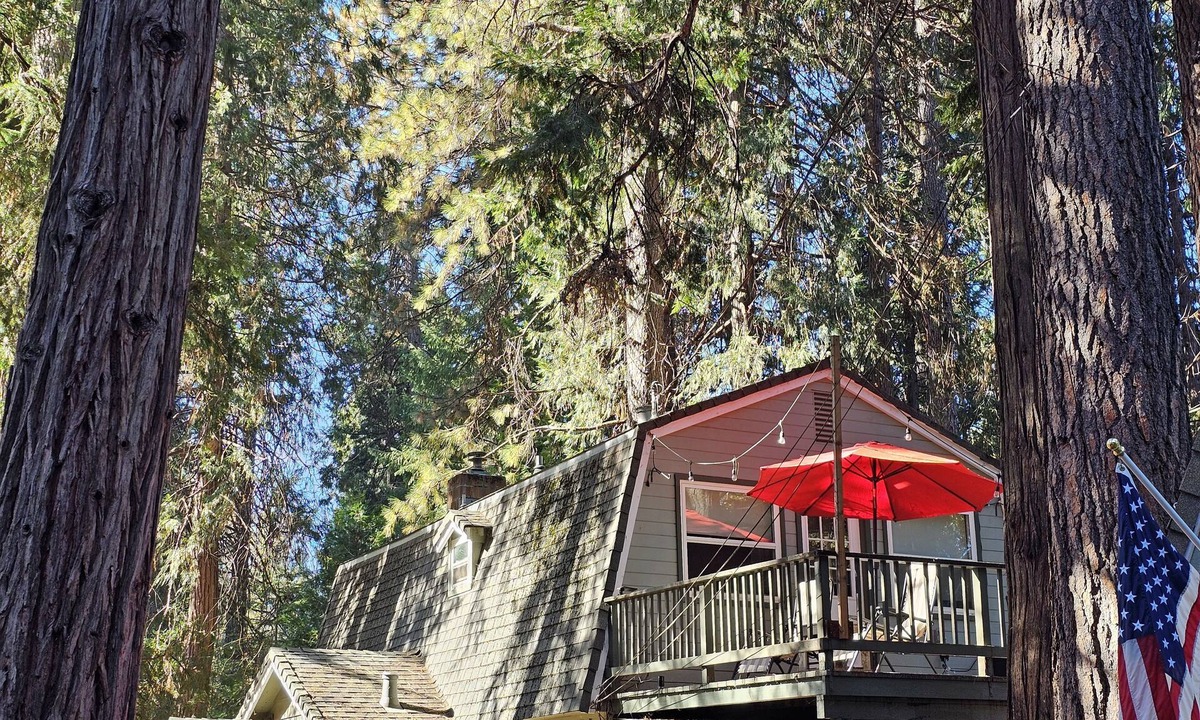 Placerville Cabin | Little Green Cabin by Apple Hill/Sly Park/Wineries/Tahoe/Hiking