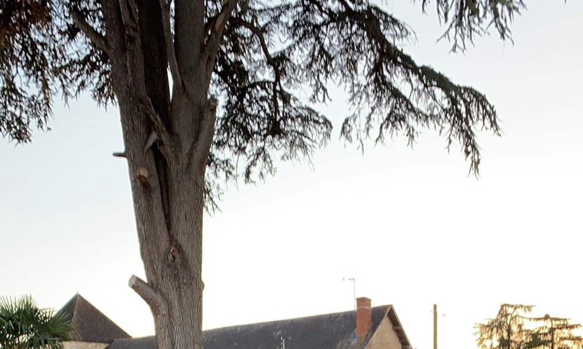 Brion-pres-Thouet Cottage | Little house