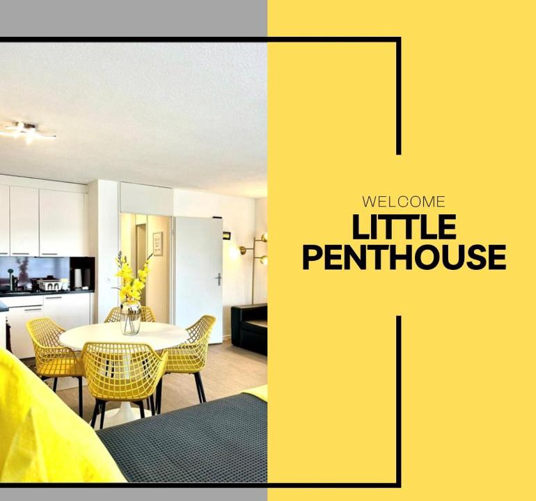 Dietikon District Apartment | Little Penthouse *