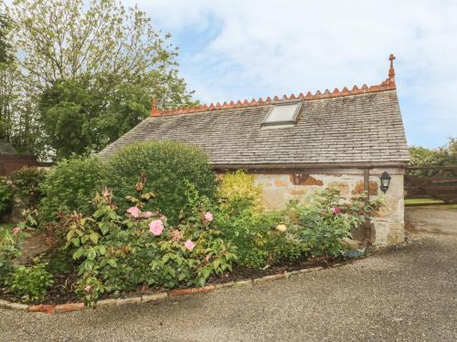 Newquay House | Little Prickle