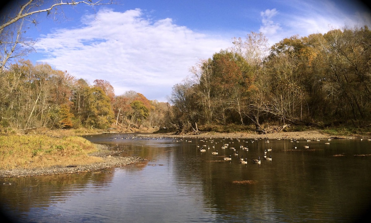 Heber Springs House | Little Red Tree House on the Little Red River 8 Acres Large Dock and Hot Tub!
