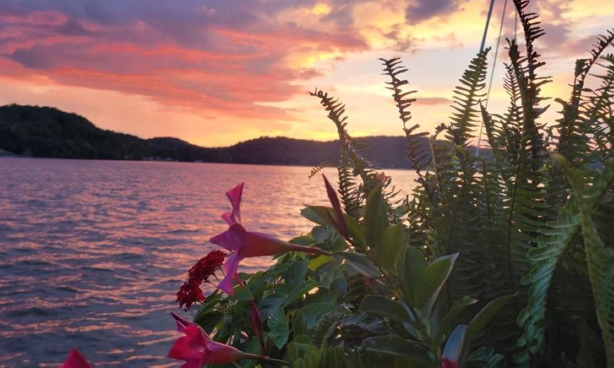 Cedar Bluff House | "Little River Lodge" on Weiss Lake, Private Dock & Boat Ramp. Game Room, Firepit
