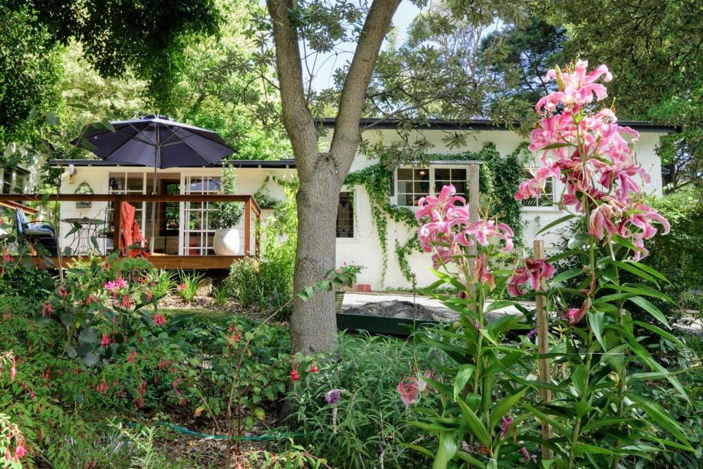 Tecoma House | Little Violet