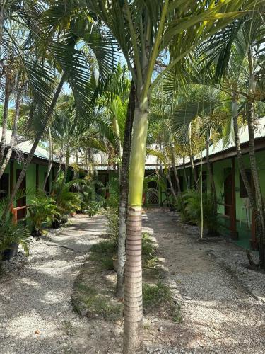 Lubok Buaya Cabin | LivBumi Oasis