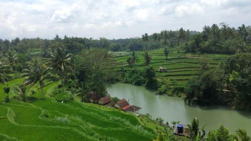Kecamatan Montong Gading Hotel | Live lombok homestay
