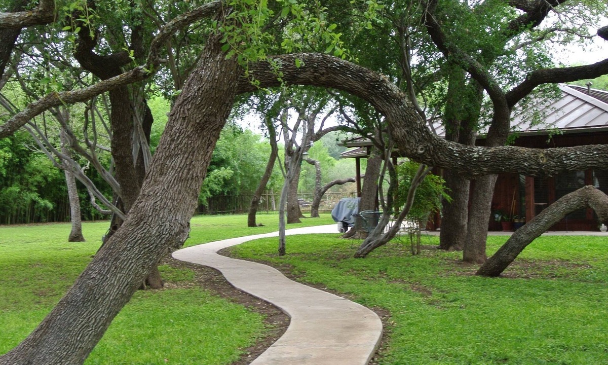 Uvalde Bed & Breakfast | Live Oaks Bed and Breakfast
