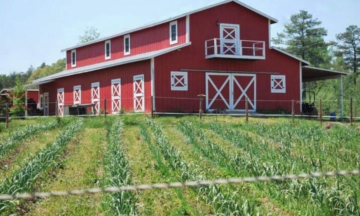 Bynum Apartment | Live the farm life!