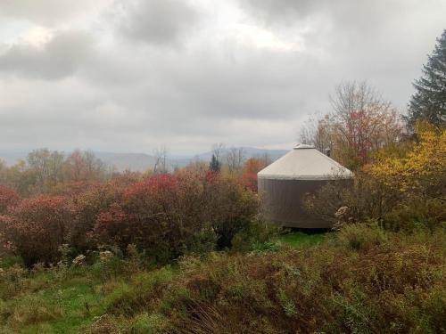 Parksville Other | Livingston Manor YURT