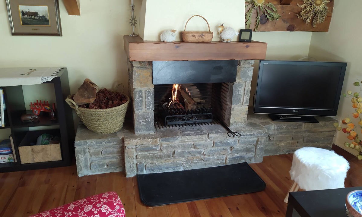 Alt Aneu Apartment | Llar al Pirineu