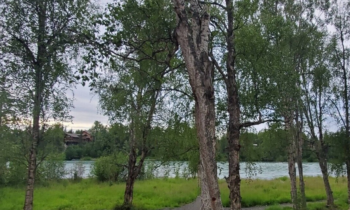 Funny River House | LOCATED ON THE KENAI RIVER! Kenai River Haven Unit #2.