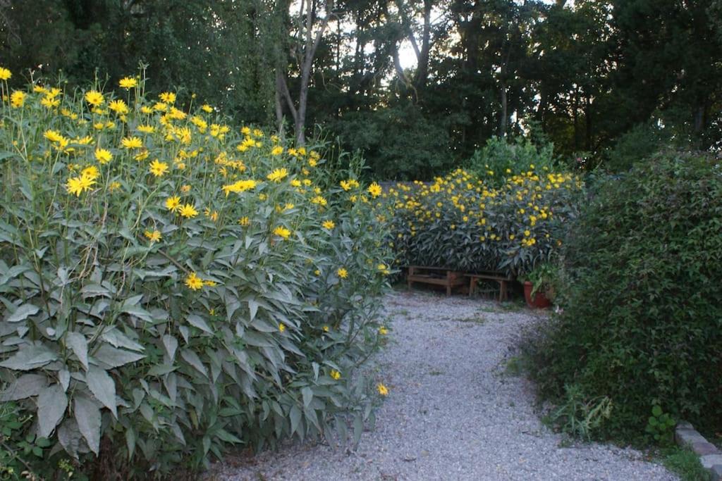 Recques-sur-Hem House | location détente