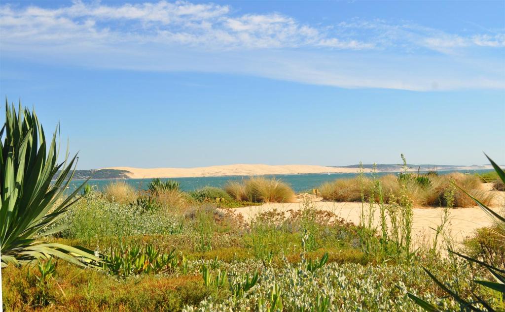 Le Teich Apartment | location de vacances Bassin Arcachon
