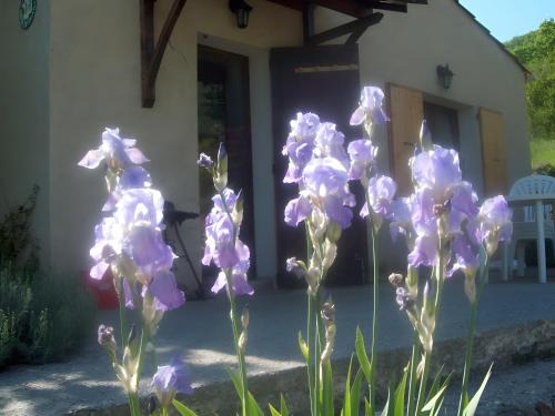La Robine-sur-Galabre House | Location Gîte Les Iris