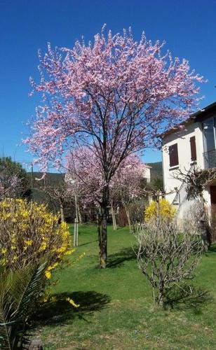 Laroque Apartment | Location Laroque Cévennes