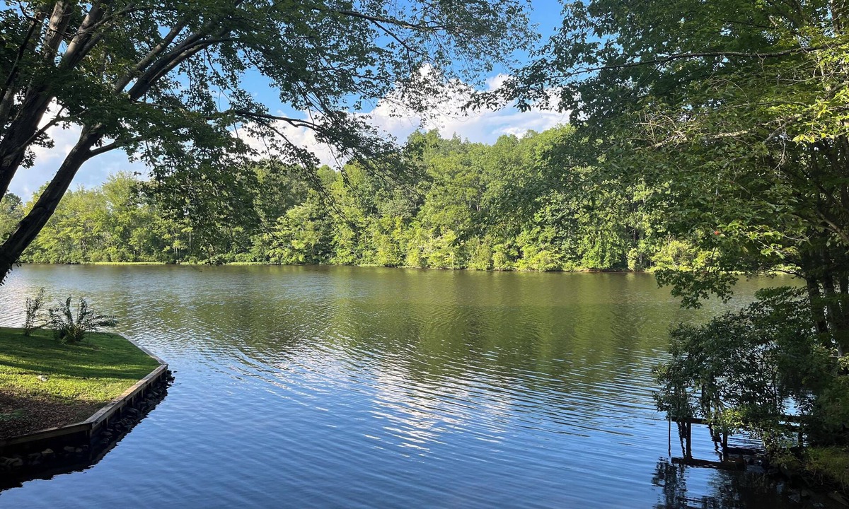 Bracey House | Location-Location-Location and Pet Friendly