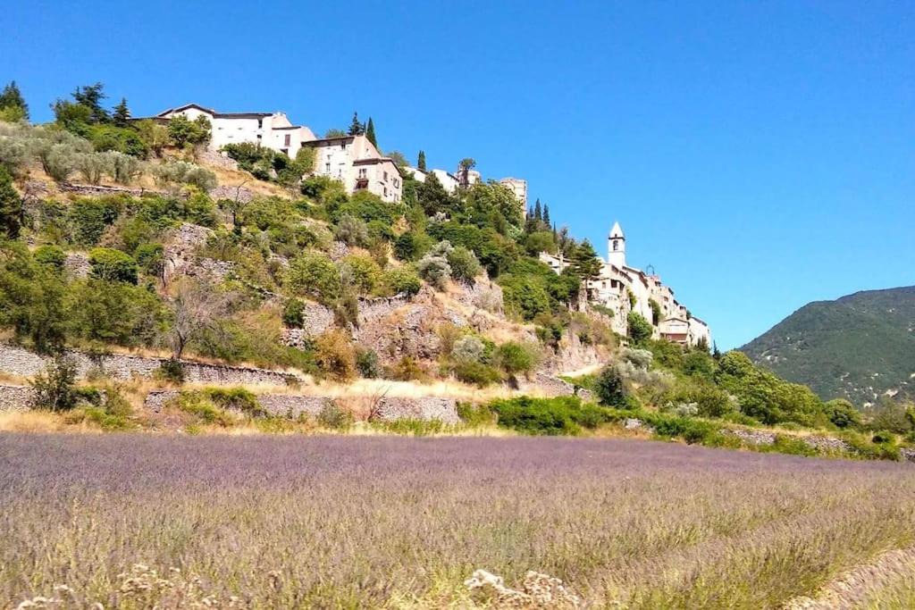 Sault House | Location provence ventoux sault