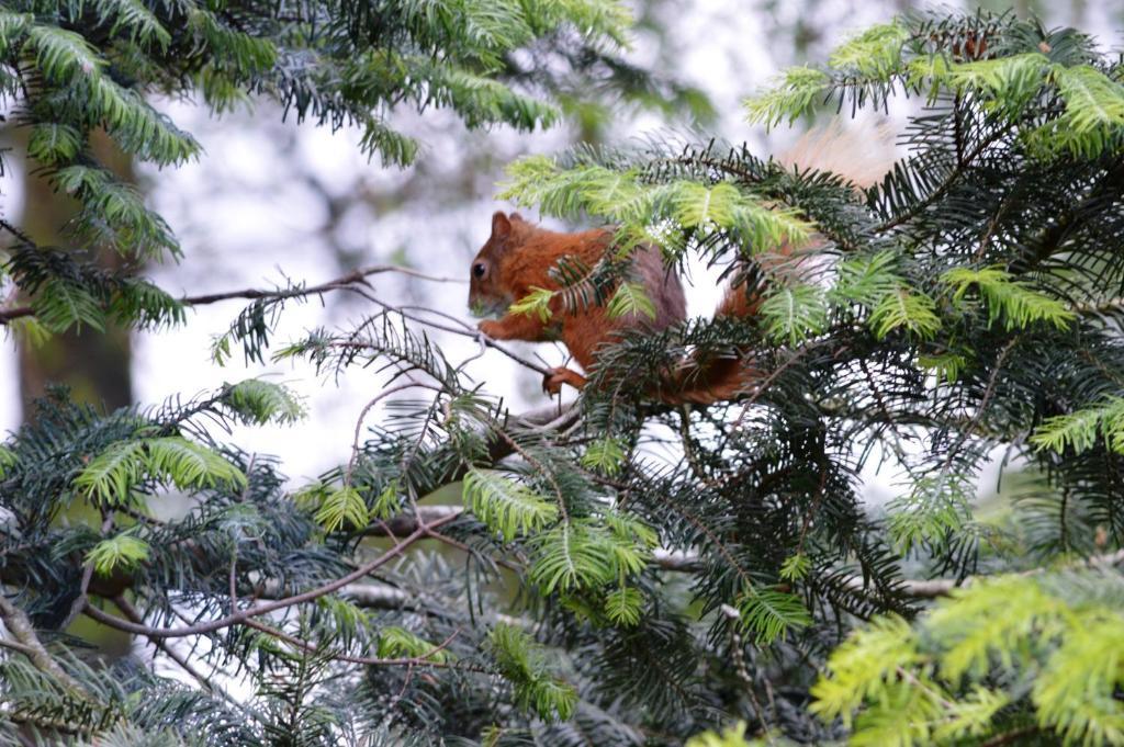 Killin Apartment | Lochay Lodges