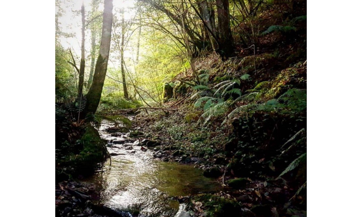 Rimont House | Lodging between forest and streams