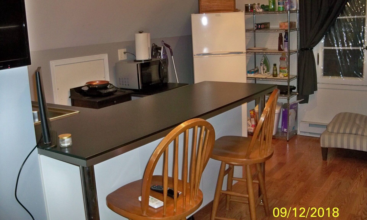 Des Plaines House | Loft Apt is above a detached Garage. Full bathroom, kitchenette, fridge, A/Cn