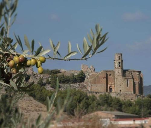 Castello de Farfanya House | Loft Castelló