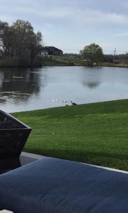 I-435 West KC-KS Bed & Breakfast | Lofthouse