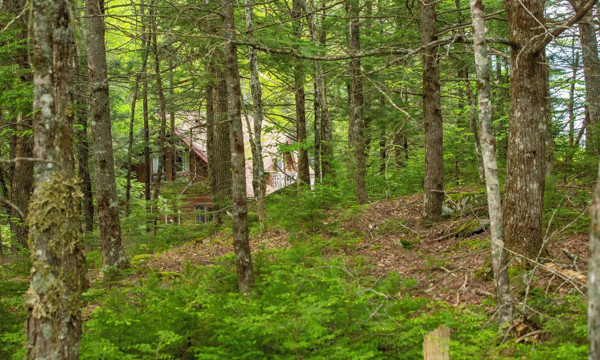 Annapolis Subdivision D House | Log house with lake view