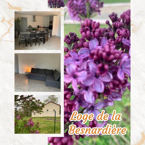 Mareuil-sur-Cher House | loge de la Besnardière