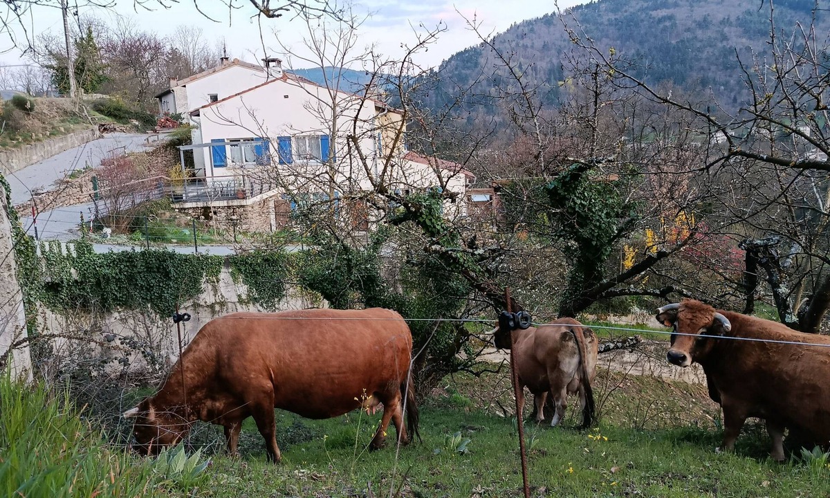 Lamastre House | Logement Calme et Spacieux Avec vue à 400 M D'un Plan D'eau