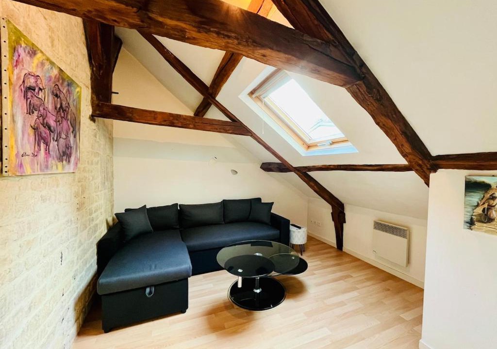 Le Bon Sauveur Apartment | Logement charmant cosy central