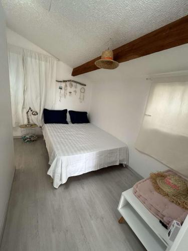 Le Cailar House | Logement en camargue le petit secret du flamant