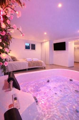 Naintre Apartment | Logement entier avec jacuzzi proche futuroscope
